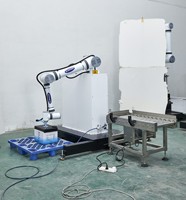 Máquina Automatizada de Paletización para Empacar Productos, con Apilamiento por Succión y Detección de Colisiones Integrada