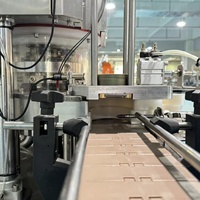 Machine d'emballage sous vide pour la mise en conserve alimentaire entièrement automatique / Machines de scellage sous vide à pression négative