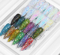 Super Flash Caméléon Multi-Chrome Miroir Porcelaine 1g Magnétique Taille de Particules Grosses Maille pour Nail Art Gel Ongles Poudre Acrylique