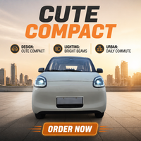 Voiture électrique miniature à 4 roues, à basse vitesse, fermée, économique, pour les déplacements quotidiens des personnes âgées, petit véhicule électrique pour adultes, voiturette de golf à basse vitesse