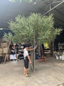 Cây ô liu giả chất liệu sợi thủy tinh cao cấp, chất lượng cao, siêu thực, chạm khắc tinh xảo, kích thước lớn, dùng trang trí Tết Nguyên đán - Product Image 2