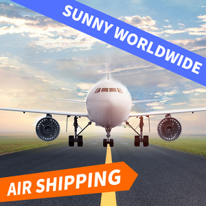 SUNNY WORLDWIDE LOGISTICS Freight Forwarder puerta a puerta desde China a Polonia <span class=keywords><strong>Alemania</strong></span> Francia Costo de envío - Product Image 2