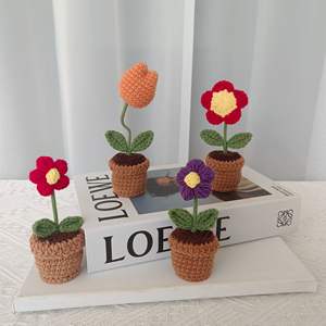 Vaso per Piante Mini in Crochet 2026, Decorazione Floreale, Regalo Creativo, Ornamento Compatto Adorabile - Product Image 3