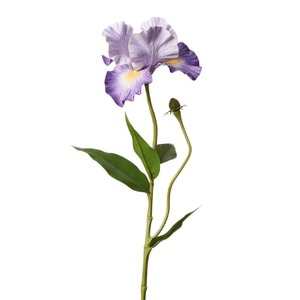 <span class=keywords><strong>Iris</strong></span> Artificial Morado de Alta Calidad MSH, Pieza Decorativa para Sala de Estar - Product Image 5