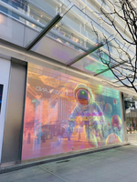 Haute qualité Transparent LED maille rideau affichage Transparent Flexible LED affichage P4 P6.5 P8 Transparent LED écran pour magasin