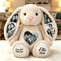 Lapin en peluche personnalisé avec photo, rembourrage en coton PP, broderie de nom, 28 cm, 40 cm, pour la décoration de la maison