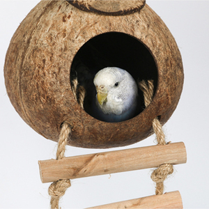 Nichoir pour oiseaux en noix de coco naturelle, cage intérieure, jardin extérieur, cachette non toxique pour perroquets - Product Image 5