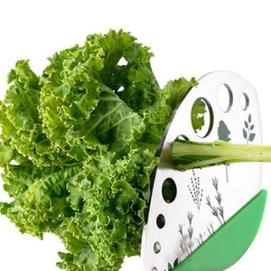 Utensile da Cucina Multifunzionale per Tagliare Foglie di Verdure come Prezzemolo e Perilla - Product Image 2