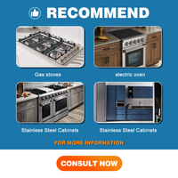 Four européen Hyxion 220v en acier inoxydable, grande taille, écran tactile LED, 6 brûleurs, four à haute puissance, fours combinés pour la cuisson à domicile