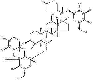 Panax <span class=keywords><strong>Notoginseng</strong></span> <span class=keywords><strong>Extract</strong></span> Saponinen 10% tot 98% Bloedsomloop- en herstelondersteunend poeder Aanpasbaar Bulk <span class=keywords><strong>Notoginseng</strong></span> - Product Image 3
