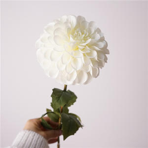 Y-H036 all'ingrosso di alta qualità bianco artificiale dalia crisantemo fiori stelo per la casa & matrimonio per san valentino - Product Image 1