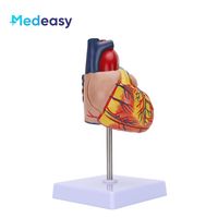Modelo anatómico de plástico modelo de corazón 3D modelo de enseñanza de corazón médico para anatomía