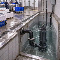 Pompe à eaux usées électrique haute pression WQ 11KW 380V 220V submersible en fonte anti-colmatage avec raccord à bride pour levage des eaux usées