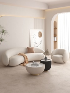 أريكة غرفة المعيشة شقة صغيرة أريكة قماشية حديثة على شكل قوس أريكة استقبال للاستخدام في صالونات التجميل والمستشفيات - Product Image 1