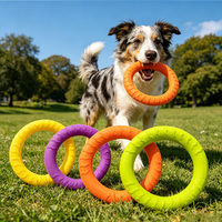 Anneau à mâcher en mousse EVA pour animaux de compagnie, jouet sûr et non toxique pour chiot et chien adulte, jeu interactif intérieur/extérieur