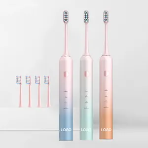 China Factory Oem tragbare Reise Power Zahnbürste 4 Farben Sonic elektrische Zahnbürste mit Köpfen für Erwachsene