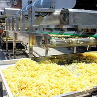 Op Maat Gemaakte Gebakken Aardappelvlokken Strips Chips Maken Machine Lijn Met 304 Roestvrijstalen Automatische 500-800 Kg/u Capaciteit Mixer