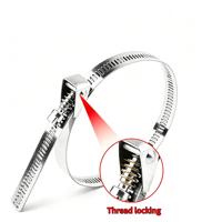 High-Quality Stainless Steel Quick-release American Type Hose Clamps Fasteners Manufacturer