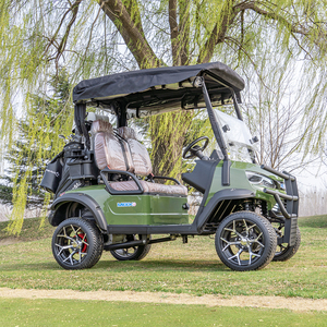 Carrito de Golf Personalizado 2026, Buggy de Golf de 2 Plazas con Batería de Litio, Color Personalizable - Product Image 2
