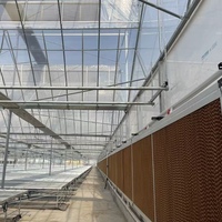 Serres agricoles multi-travées en acier galvanisé avec structure de toit papillon pour la culture des légumes