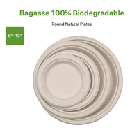 Assiette blanche de 9 pouces Assiettes de restaurant Canne à sucre Bagasse plate Assiette alimentaire kraft jetable