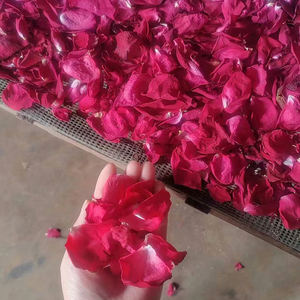 Pétalos de Rosa Secos Biodegradables de Primera Calidad, 100% Naturales y Ecológicos, Confeti de Flores Secas para Bodas - Product Image 1