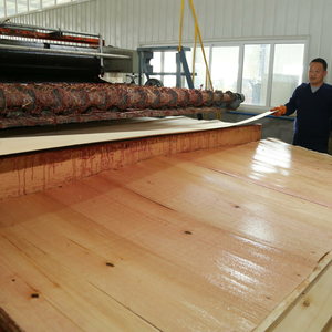 Láminas de Madera Contrachapada de Abedul <span class=keywords><strong>JUANA</strong></span> de 3 mm/6 mm/18 mm, 4x8 pies, Ecológicas, Certificadas para Uso en Almacenes, Talleres y Cocinas, Venta al por Mayor en China - Product Image 4