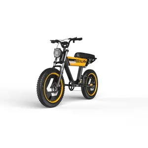 Wholesale 20inch Big Fat Tire Ebike 2024 Electric Motorcycle Bicycle 750W Cruiser Beach Smart Electric Hybrid Bike For Adult