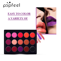POPFEEL Mat 15 Couleurs Mini Palette de Rouge à Lèvres Rouge à Lèvres Multicolore Rouge à Lèvres Hydratant Brillant à Lèvres Imperméable Longue Durée