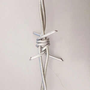 Bobine de fil de fer barbelé polarisé pour rasoir, à bas prix, en argent <span class=keywords><strong>blanc</strong></span> ou PVC, Protection de la couleur, 1 pièce - Product Image 2