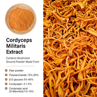 AMULYN Vente en gros d'extrait de Cordyceps Militaris biologique en poudre, qualité alimentaire, naturel