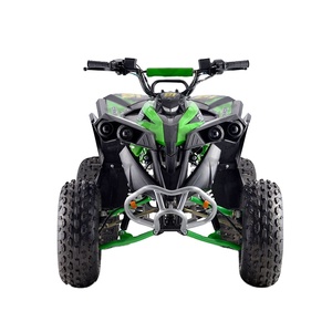 Cuatrimoto de Gasolina de <span class=keywords><strong>Dos</strong></span> <span class=keywords><strong>Tiempos</strong></span> de 110cc 125cc con Certificación CE para Adolescentes - Product Image 6