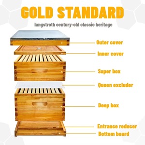 Nueva Colmena Langstroth de Madera Recubierta de Cera de 2 Niveles en Oferta, Juego Completo con 10 Cuadros - Product Image 1