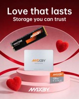 MAXBY M1 512GB PCIe 3.0 X4 NVMe SSD 550TB TBW 3500MB/s Kecepatan Baca untuk Peningkatan Penyimpanan PC Gaming