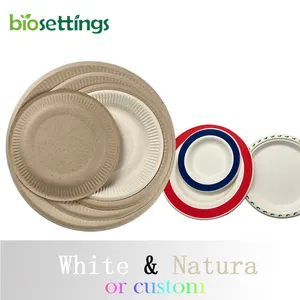 Pla écologique vaisselle jetable assiette récipient alimentaire biodégradable canne à sucre bagasse vaisselle écologique