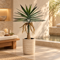 Plante artificielle en sisal en pot, ignifuge, résistante aux UV, hyper réaliste, accessoires de jardin, décoration d'entrée, directement de l'usine