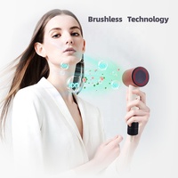 RUCHA Sèche-cheveux professionnel d’aromathérapie haute vitesse, moteur BLDC 110 000 tr/min, mini-sèche-cheveux à ions négatifs