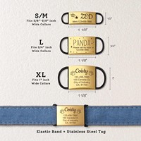 Collier pour chien en silicone de qualité alimentaire de luxe, forme hexagonale, simple, avec logo laser et code QR personnalisable pour animaux de compagnie