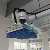 Brazo Robótico Colaborativo de Bajo Ruido a Precio de Mayoreo, Robot de Paletización para Uso en Talleres de Empaquetado