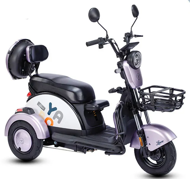 Preisgünstiges elektrisches Dreirad Haushalt kleiner Passagier Drei-Räder Elektrofahrzeug Älter Scooter Mini-Lady elektrisch für Erwachsene