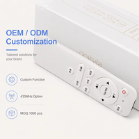 Mini télécommande infrarouge sans fil blanche à 13 boutons, prix de gros, pour Smart TV/PC/Boîtier Android TV/Boîtier décodeur, etc.