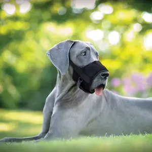 Wholesale Anti Bite And Anti Barking Adjustable Comfort Nylon Dog Muzzle