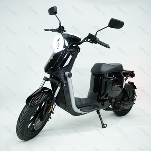 Vente directe d'usine R1000 Moto Siège classique Ebike Van 1000 Watt Mountain Eletrica Moto pour hommes - Product Image 1