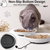 Bol pour chat en céramique saine, ensemble de bols pour chats, assiettes peu profondes et larges pour chatons, pour nourriture et eau, avec base antidérapante en silicone