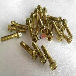 Countersunk đầu lục giác vít titan nhà máy tùy chỉnh bán buôn đua đặc sản