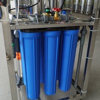Petit purificateur d'eau commercial personnalisé équipement d'osmose inverse 0.25TPH 500LPH RO système de purification d'eau potable