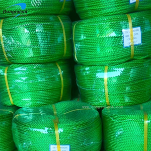 Cao Cấp <span class=keywords><strong>Polyethylene</strong></span> Mật Độ Cao Dây 3Mm 12Mm 3/4 Sợi Nylon Màu Xanh Lá Cây Monofilament <span class=keywords><strong>Twine</strong></span> Pe Cho Câu Cá - Product Image 5