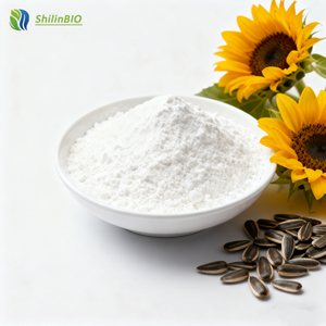 מזון כיתה חמניות תמצית זרעי חמניות 60% אבקת חלבון זרעי חמניות - Product Image 2