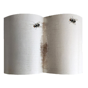 Pièges à mouches collants en papier à mouche non toxique à bas prix pour <span class=keywords><strong>cuisine</strong></span>, intérieur et extérieur - Product Image 5