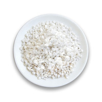 Perlite Horticulture Expansée de Qualité Supérieure – Plusieurs Tailles Disponibles – Substrat Léger et Poré pour Bonsaïs, Arbres Fruitiers et Culture en Pot
